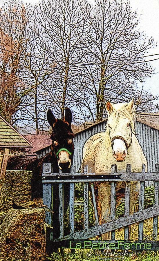 Saint-Georges-Nigremont Petite Ferme D'Autrefois 빌라 외부 사진
